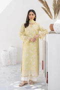 03-Piece Printed Lawn Suit - Ready To Wear