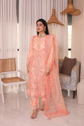 Organza Trio Ready-to-Wear