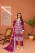 Dazzle Chiffon 3 Piece Suit Ready to Wear