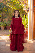 ROHA - MAROON PEPLUM SET
